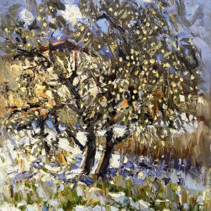 Apple tree in winter