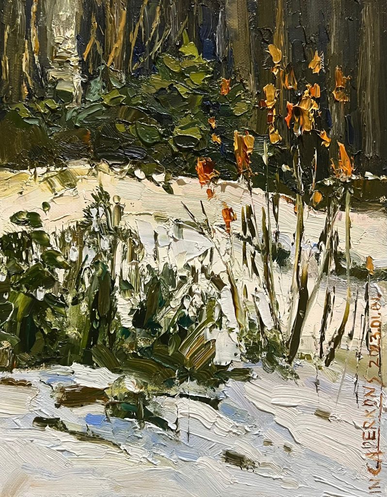 Winter. Courtyard