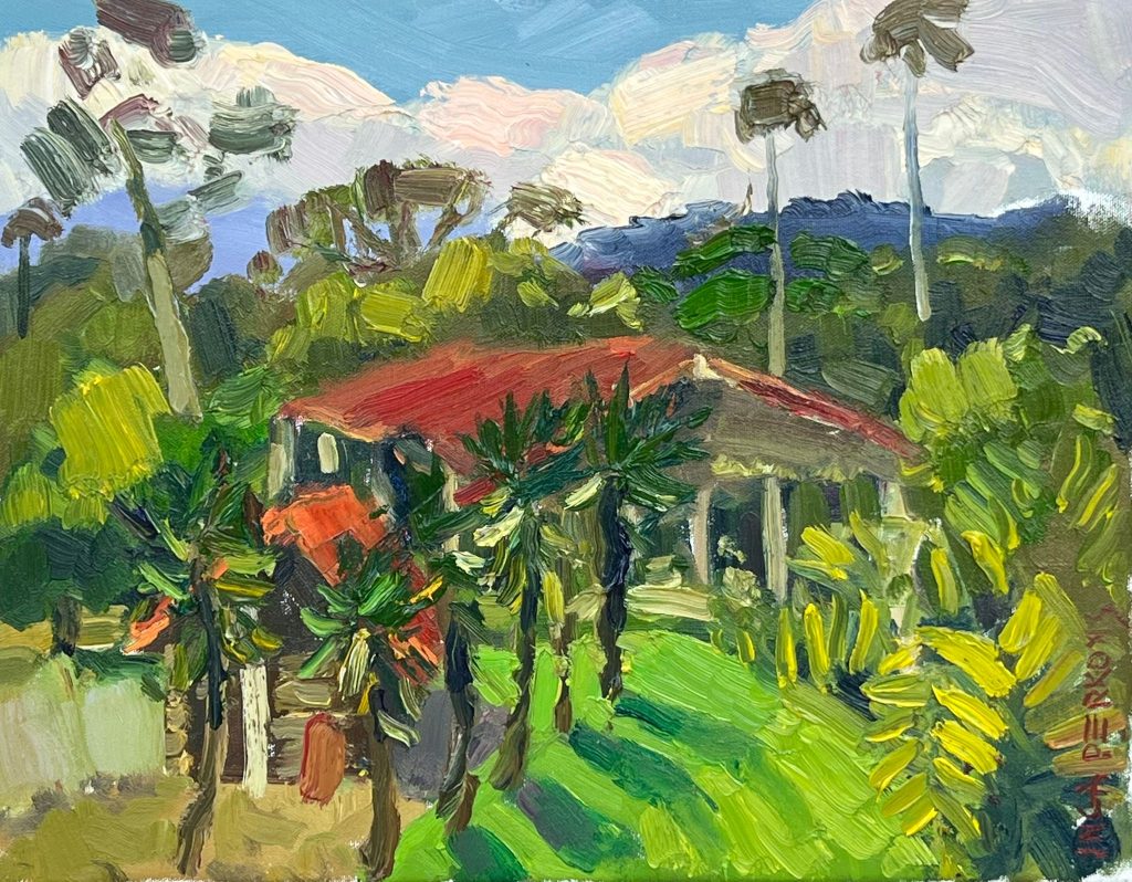 Ecuador. Jungle landscape