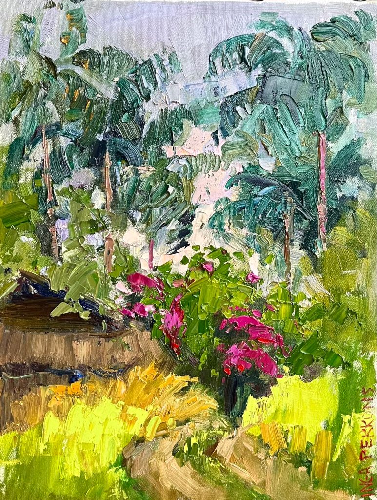 Ecuador. Bougainville