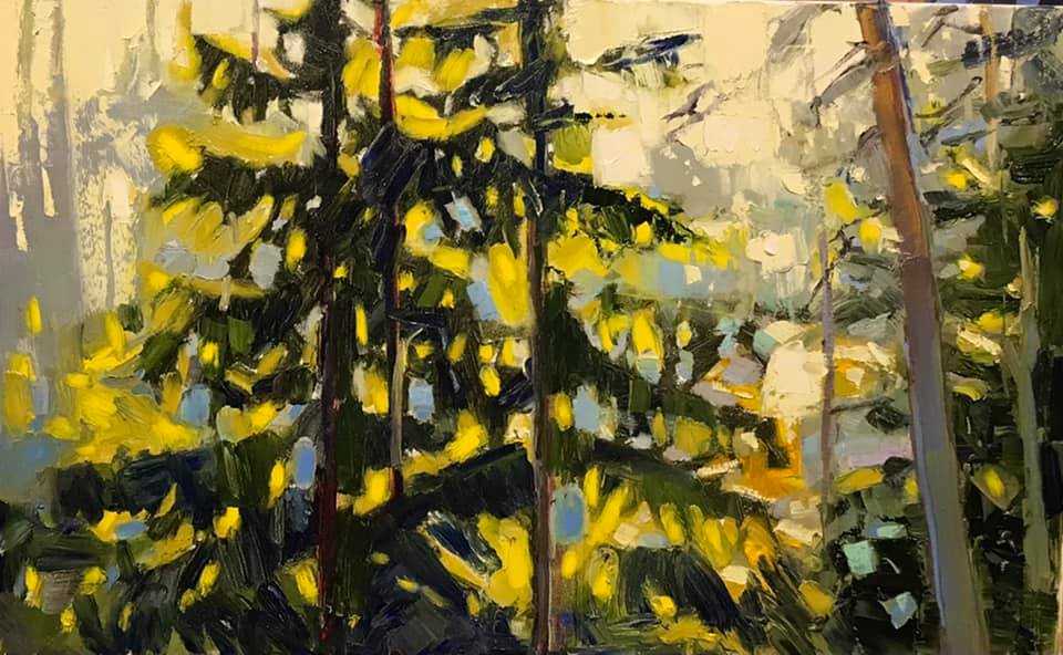 Sun-drenched forest