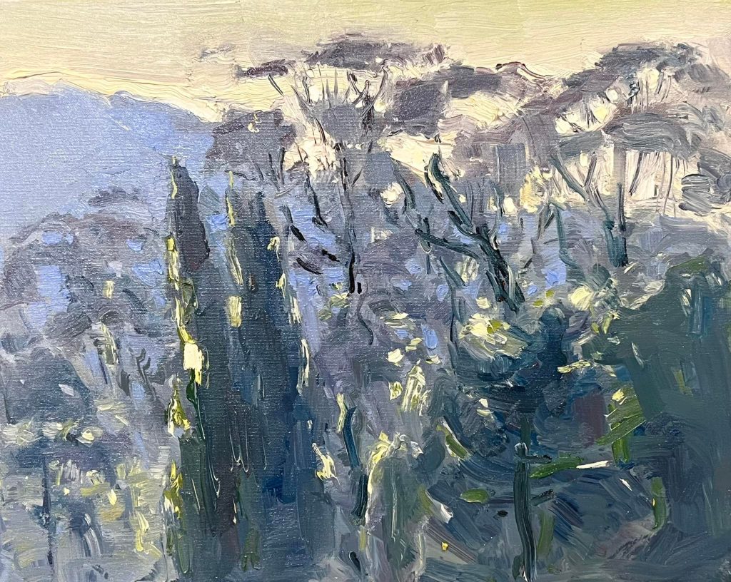 Trees shining in the sun