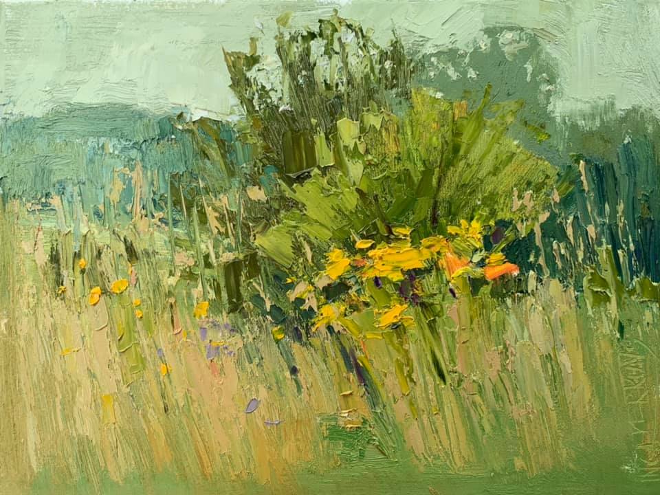Meadow in the rain