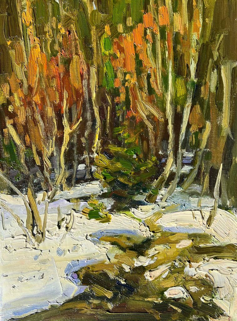 Lime ravine springs